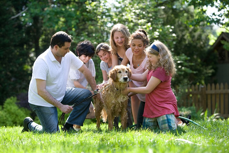 Family - Playing Outside with Pet Dog - Large.jpg
