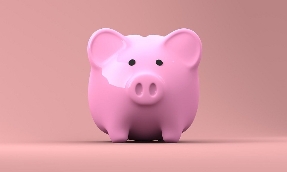 Money - Piggy Bank - Medium.jpg